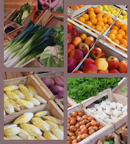Un joli printemps se prépare à la ferme Dolmen & Potager ! vente directe de légumes et autres produits bio, mardi, mercredi, vendredi.
