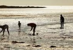 Grandes marées de jeudi à dimanche, prudence