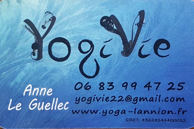 🧘‍♀️ YogiVie : yoga sur chaise ou sur tapis à Trévou