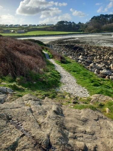 Les bénévoles de Gardennou An Treou mobilisés pour le patrimoine naturel
