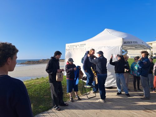 Trestel Surf Club : une édition sous le soleil et les vagues
