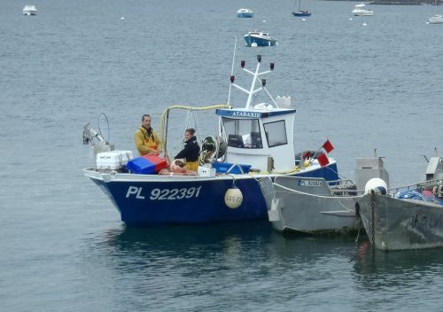 Vente directe poissons de ligne