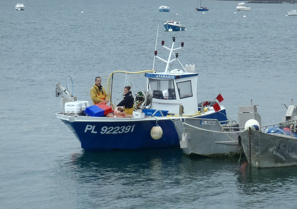 Vente directe poissons de ligne