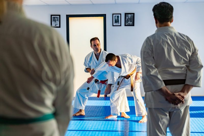 Jeudi 18 et mardi 23 juin : Séances découvertes au club de karaté Ara Nami Dojo