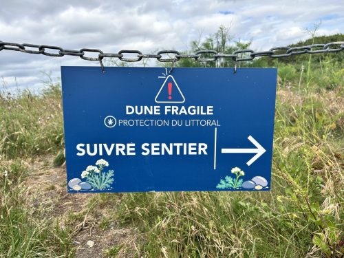 🌿Au Royau, protégeons la dune et ses espaces naturels