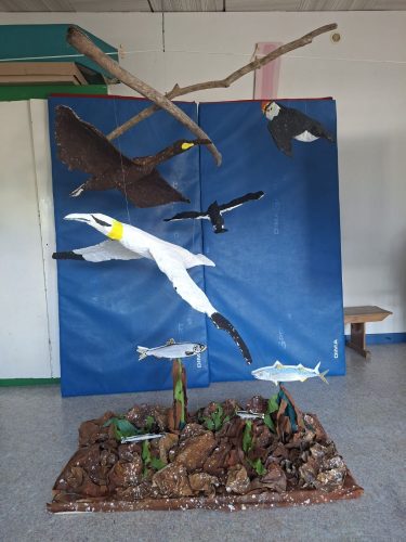 Les élèves du RPI participent aux 50 ans de la Réserve naturelle des Sept-Îles