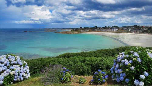 Animaux sur les plages : préserver ensemble la qualité de notre littoral