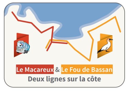 🚌 La navette estivale « Le Fou de Bassan » reprend du service !