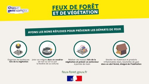 Prévention des feux de forêt et de végétation : la vigilance de tous est essentielle