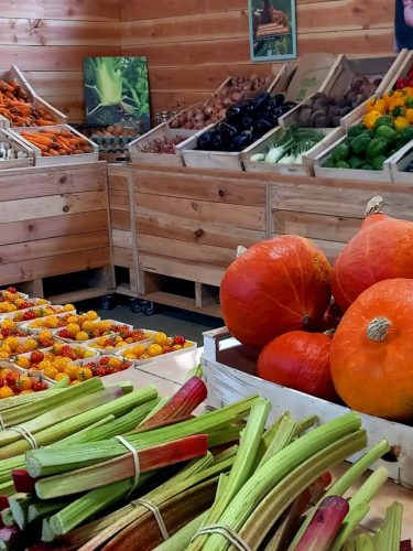 Le quotidien à Dolmen & Potager