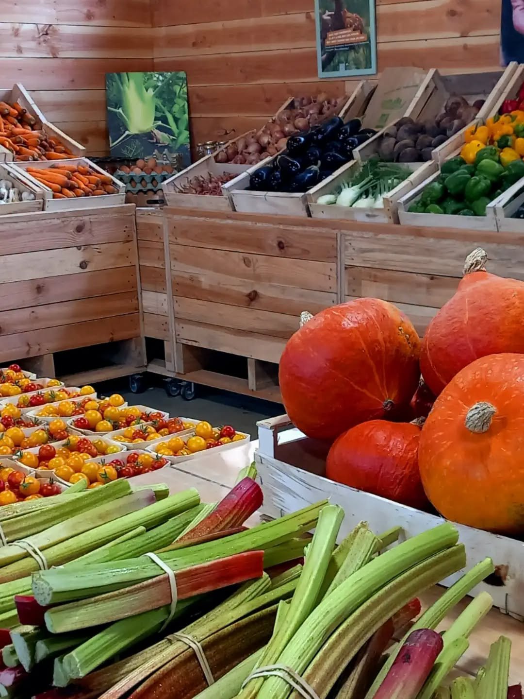 Le quotidien à Dolmen & Potager